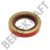 RENAULT 5000675975 Shaft Seal, differential